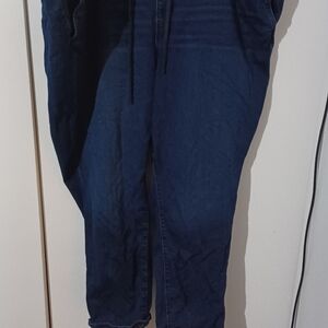 Torrid Dark Blue Jeans